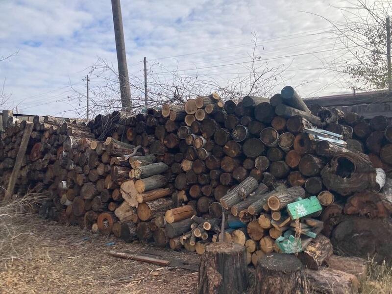 В Шилке мужчина украл дрова, чтобы натопить свой дом