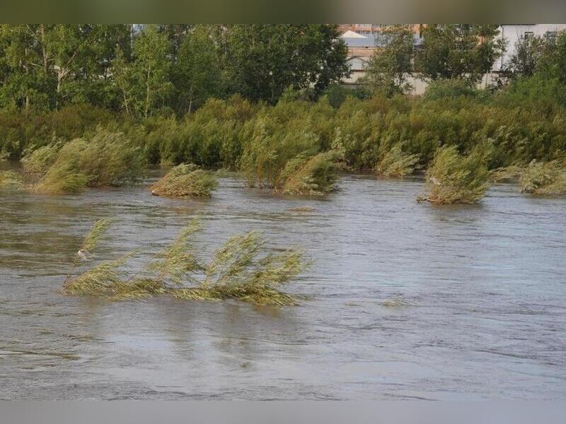 В Забайкалье будут строить новое жильё для пострадавших от паводков