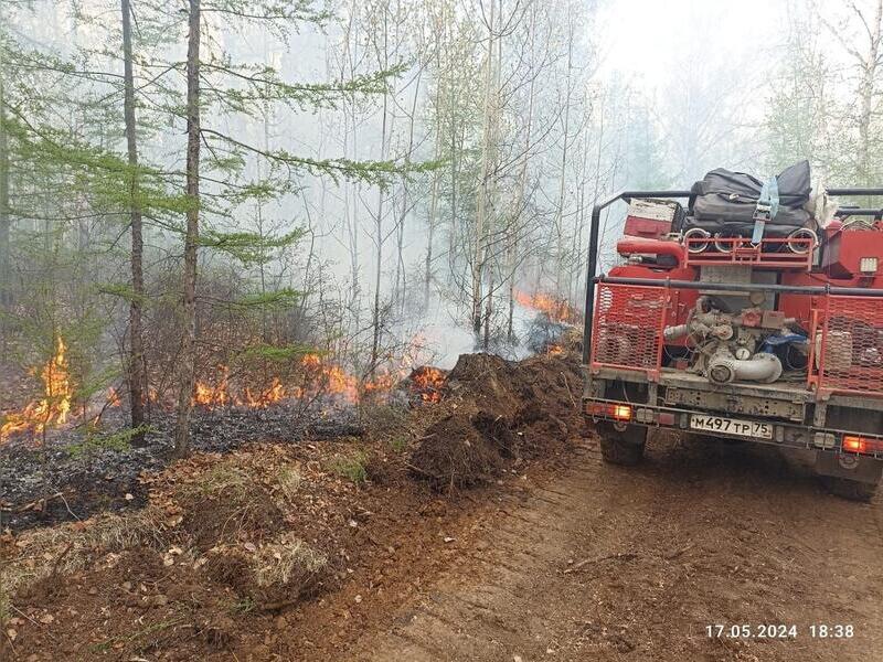 Лесной пожар у посёлка Новоширокинский охватил свыше 200 гектаров