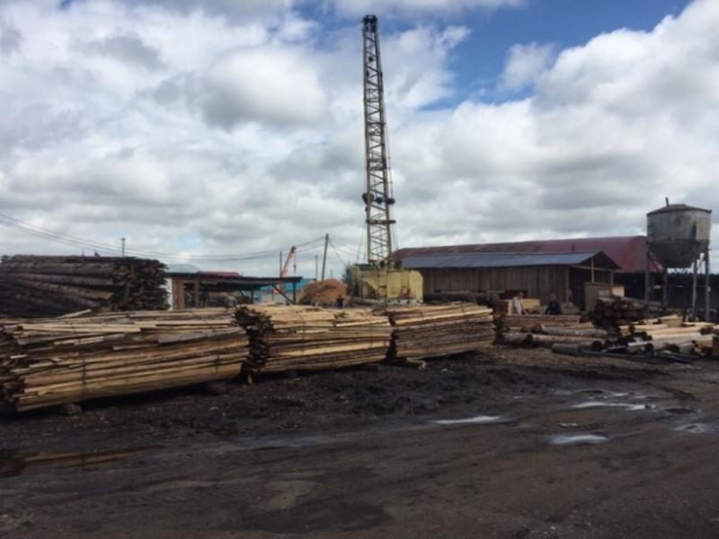 Нелегальных продавцов древесины выявил в Чите ОНФ