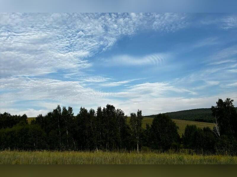 Небольшие дожди и 30-градусную жару прогнозируют синоптики в Забайкалье