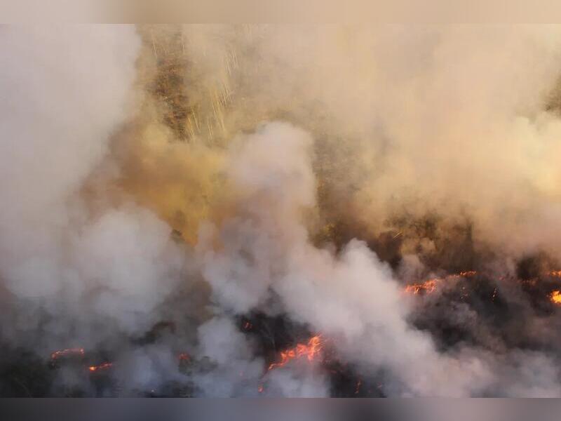 Площадь пожара в Акшинском районе достигла почти 5 тысяч гектар