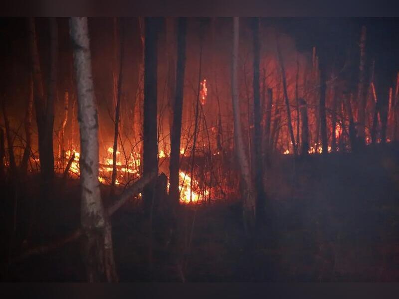 Десятки лесных пожаров действуют в крае