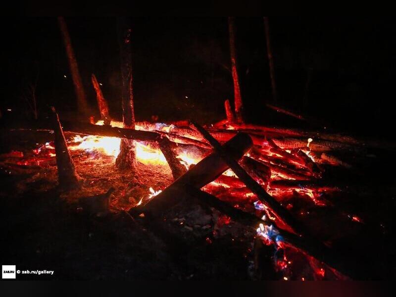 Пять лесных пожаров локализовали за сутки в Забайкалье