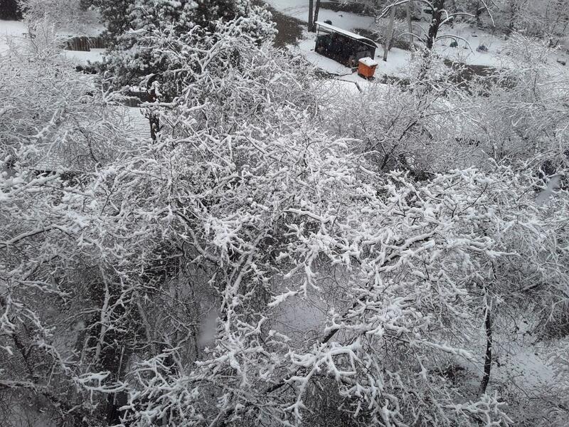 8 ноября в Забайкалье пройдёт снег