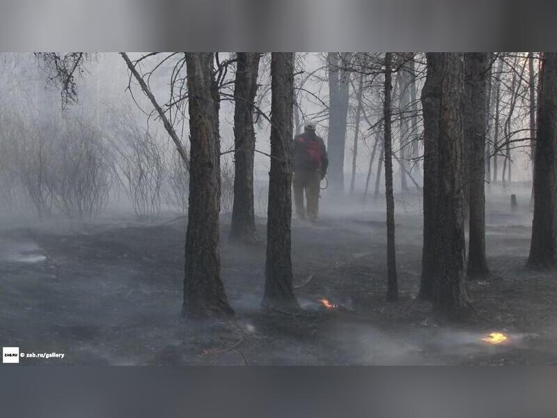 Семь лесных пожаров действуют в Забайкалье