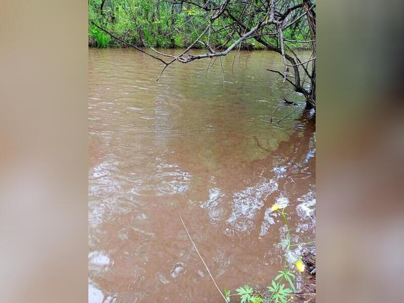 В Забайкалье старательская артель сбросила грязные воды в речку