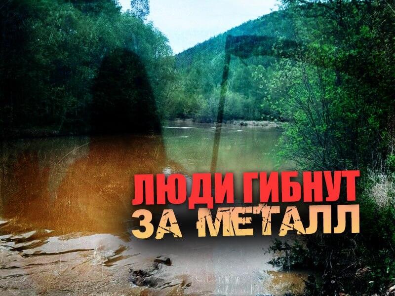 Река Могоча погибает от рук золотоискателей