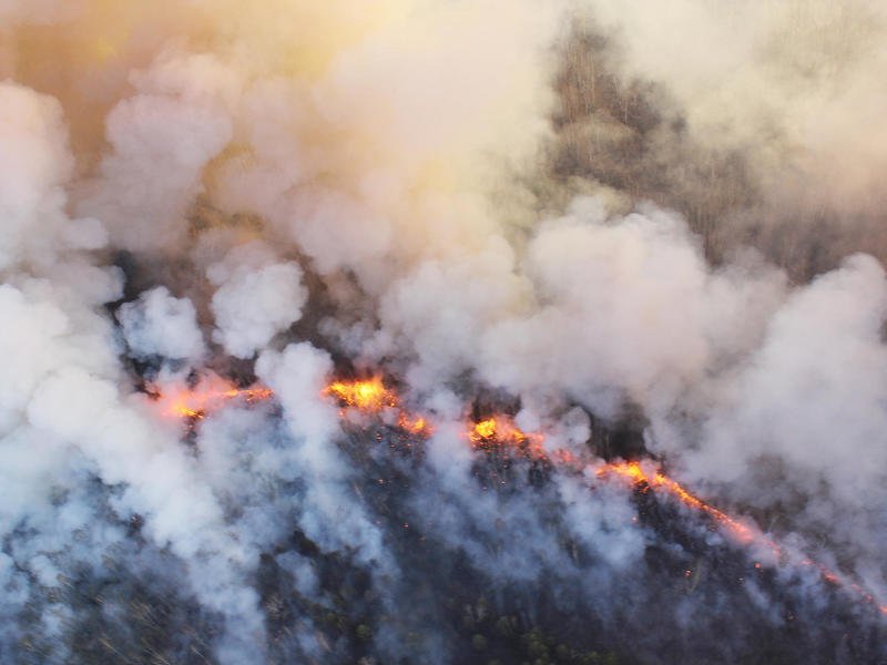 На территории Забайкальского края действуют 19 лесных пожаров