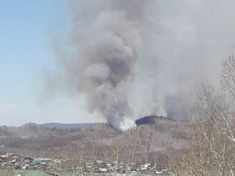 Крупный лесной пожар действует в Могочинском районе