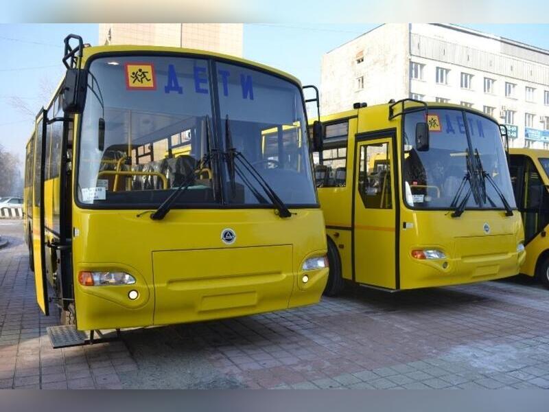 В с. Домна организовали подвоз школьников на двух автобусах