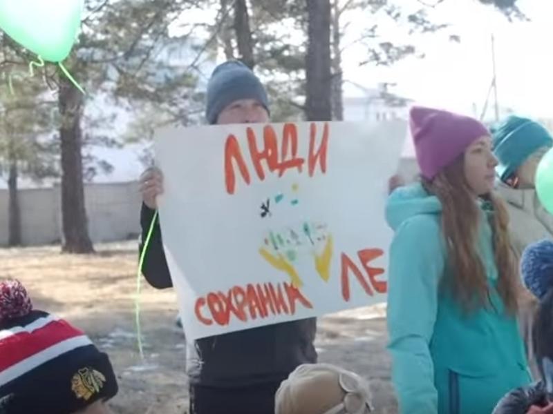 Жильцы дома по Шилова в Чите обратились к Путину из-за вырубки леса