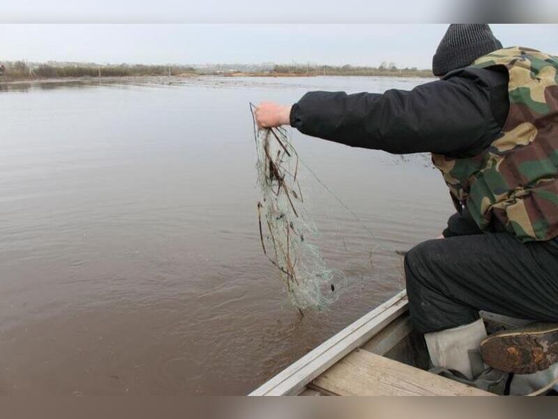 Браконьеров наказали за вылов краснокнижной рыбы из Шилки