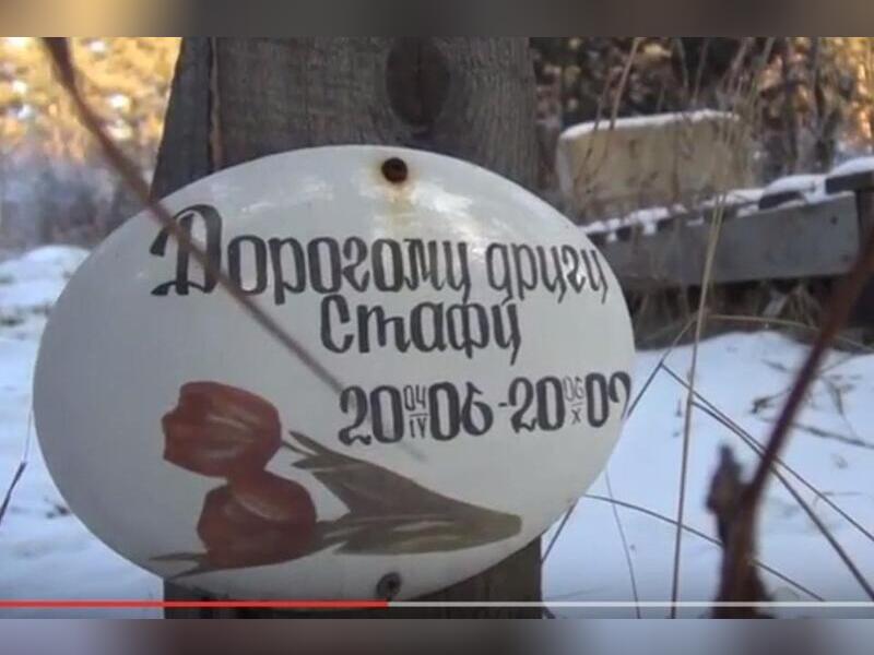 Прокуратура обязала Минприроды ликвидировать кладбище домашних животных на СибВО