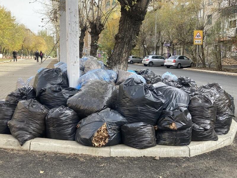 Сапожников предложил отказаться от помешочного сбора мусора