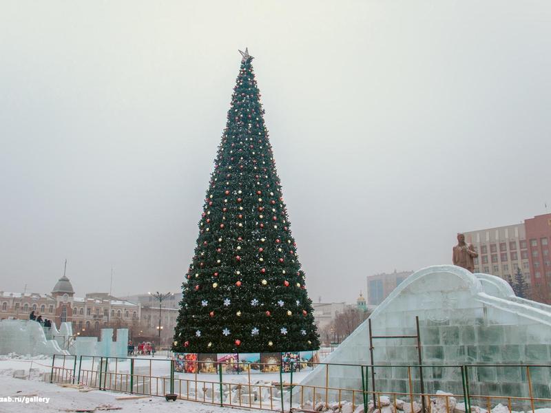 Прошлогоднюю главную ёлку Читы поставят на площади Труда на КСК
