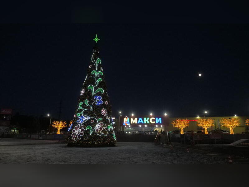 Новогодние огни зажглись на 22-метровой ёлке в «Макси»
