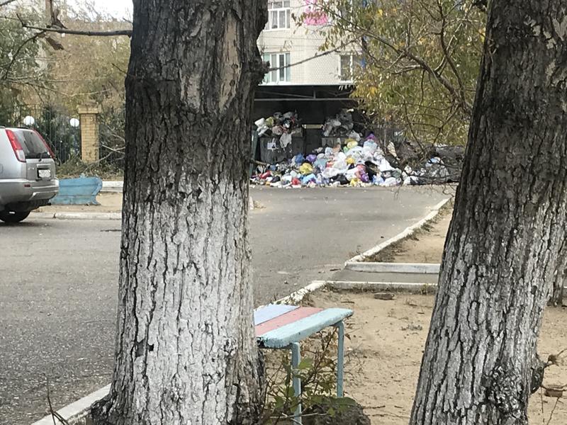 Жители дома на ул. Красноярской в Чите жалуются на невывоз мусора
