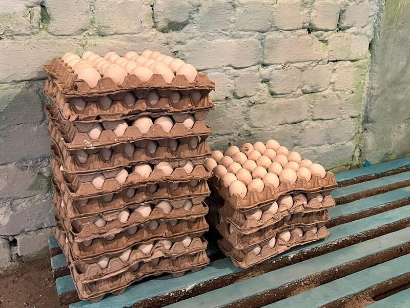 На читинские яйца дали 20 миллионов рублей