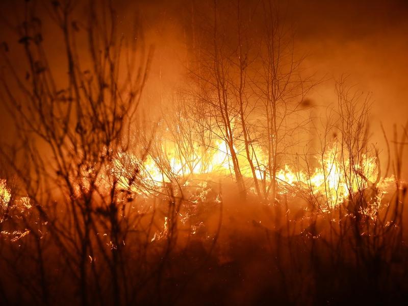 Житель Забайкалья выплатил более 140 тыс рублей за поджог травы