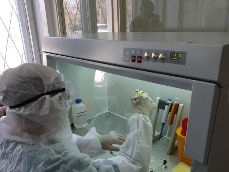 Поломка оборудования произошла в ПЦР-лаборатории Краснокаменска