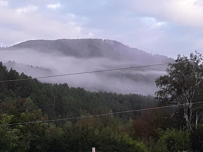 Дожди и туман - о погоде в Забайкалье на 21 августа