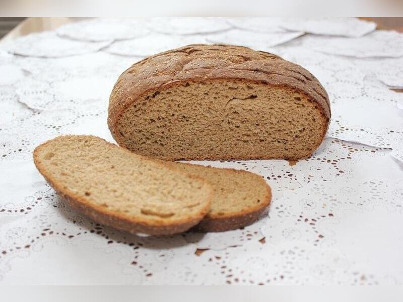 «Это вкусно»: хлеб из мух начали изготавливать в России