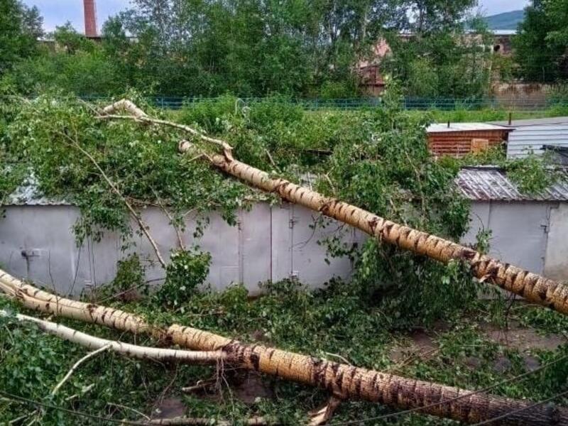 В Кокуе штормом с корнем вырвало деревья и разрушило стадион