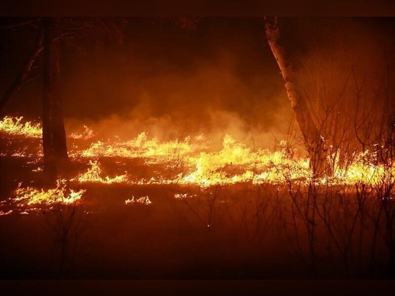Дожди в Забайкалье почти не повлияли на ситуацию с лесными пожарами