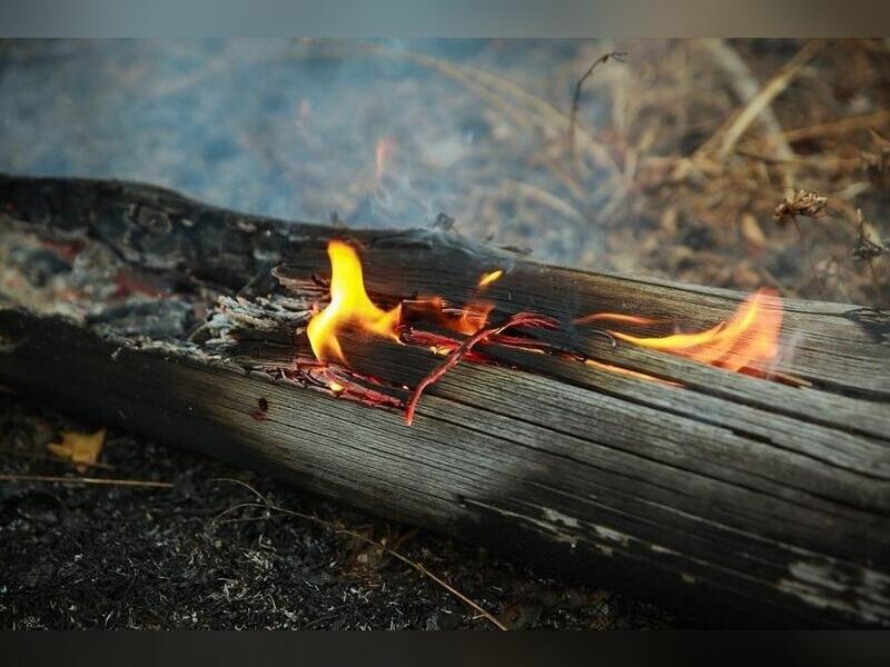В нескольких забайкальских районах ожидается высокая пожарная опасность