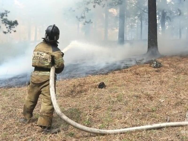 Два лесных пожара потушили возле Читы