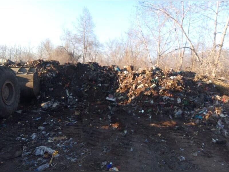 Уголовное дело возбудили за свалку мусора в «Долине дзерена»