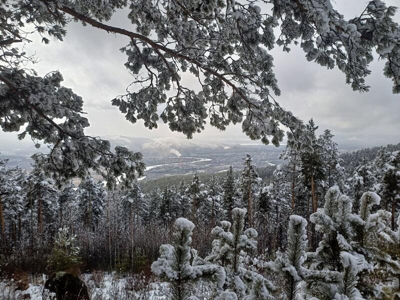 Метель, снег, ветер – о погоде 12 января в Забайкалье