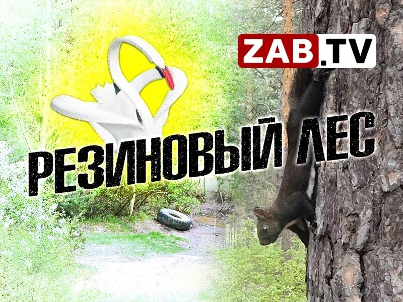 Автомобильные покрышки заполонили пригородные леса