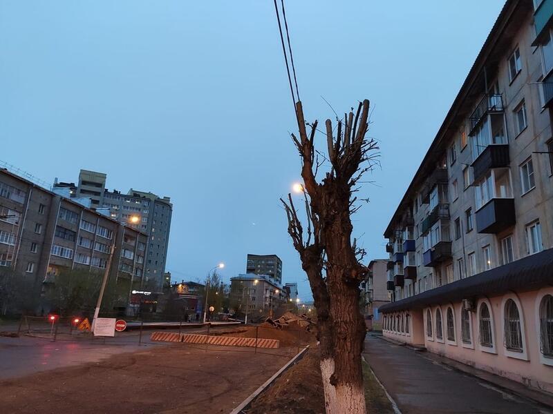 Власти Читы заплатили ДМРСУ 800 тысяч рублей за обрезку деревьев
