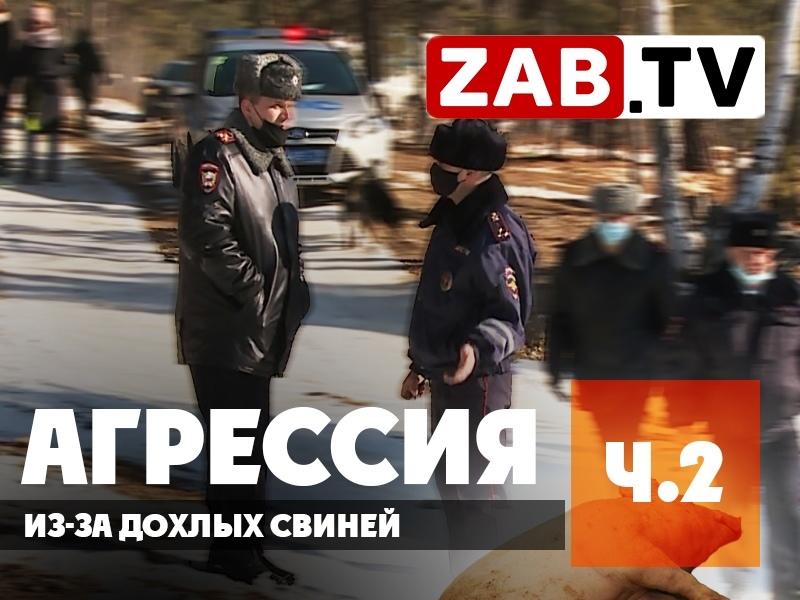 Конфликт в Ивановке выявил массу системных проблем в крае — ZAB.TV