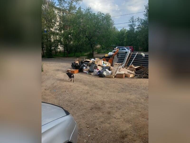 Свалка из картона и пакетов образовалась во дворе Читы
