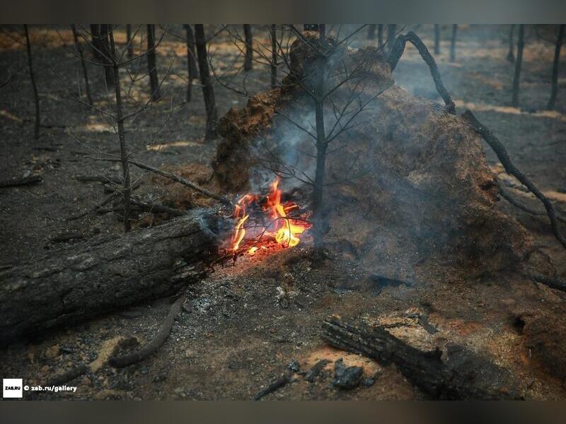 В Забайкалье ликвидировали еще один крупный лесной пожар