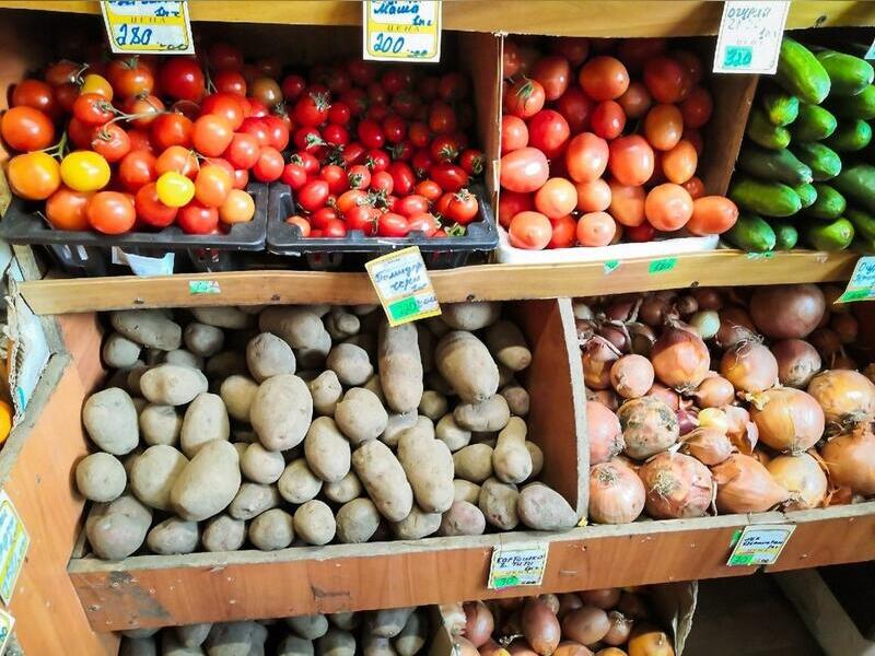 Министерство сельского хозяйства ожидает рост урожая картофеля в Забайкальском крае