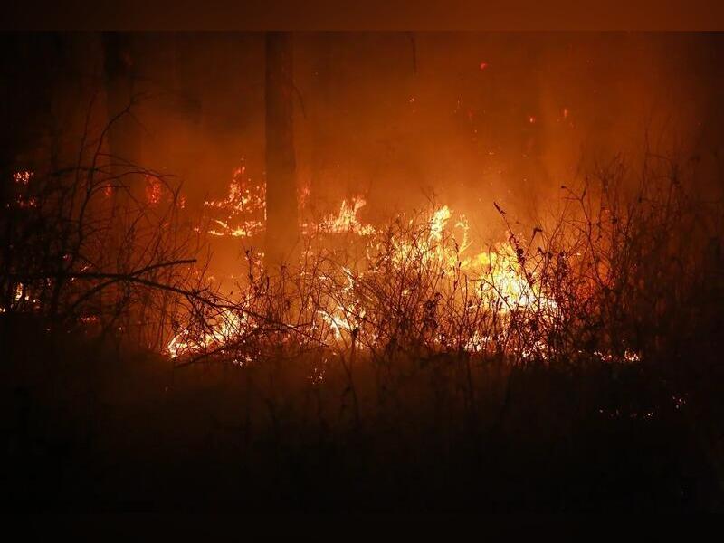 Восемь лесных пожаров остаются действующими в крае