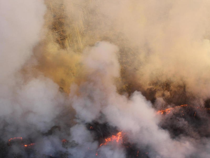 Площадь и количество пожаров в Забайкалье за сутки увеличилась