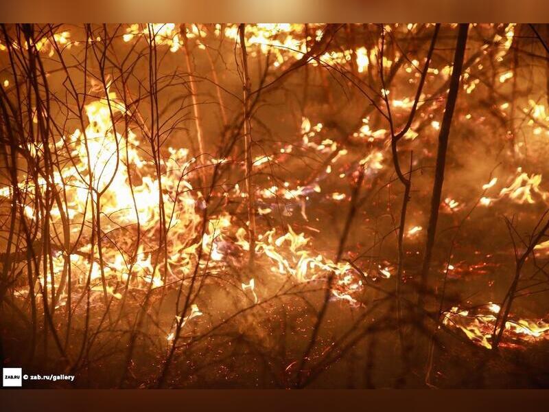 На 4 мая в Петровск-Забайкальском районе потушили два пожара