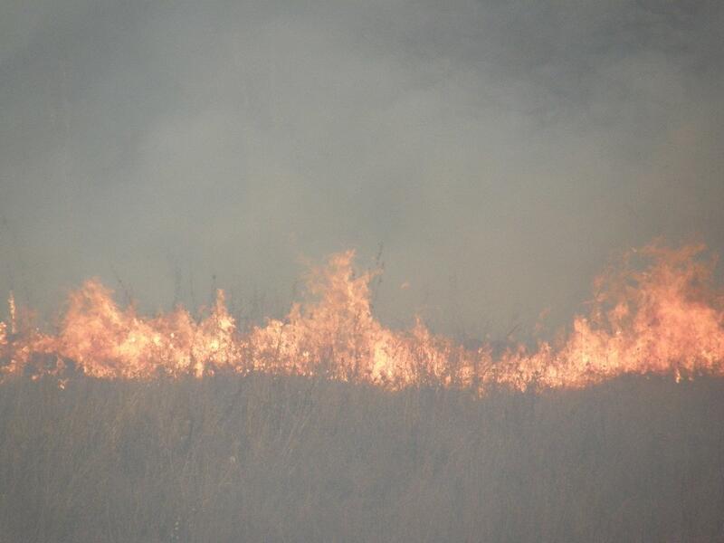 Первый степной пожар произошел у  АЗС в Краснокаменске