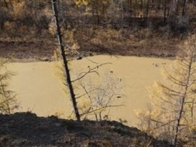 Загрязнение реки Аргунь в Забайкалье стало одним из крупнейших в России
