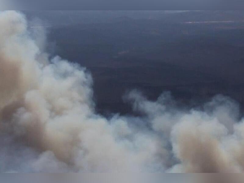 В Забайкальский край направят около 200 лесных пожарных