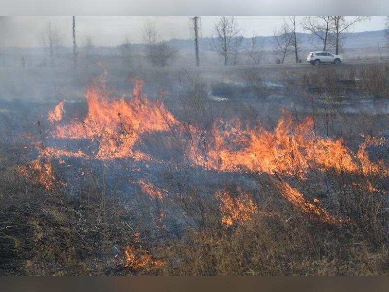 Пожар уничтожил более 80 гектаров сухой травы в районе КСК