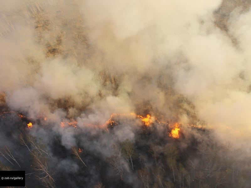 Почти 200 га леса горит в Забайкаье