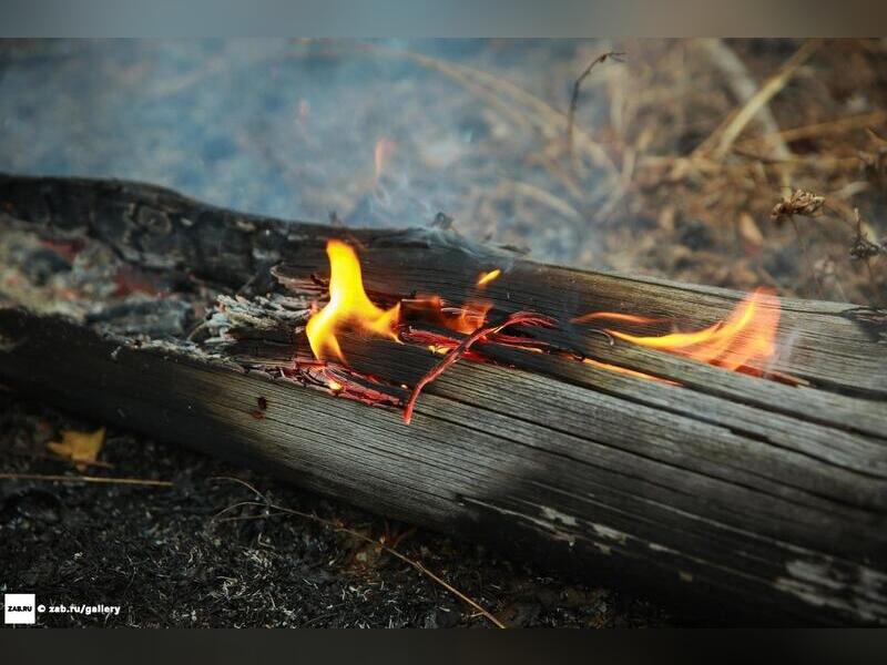 Лесной пожар действует в районе Преображенки