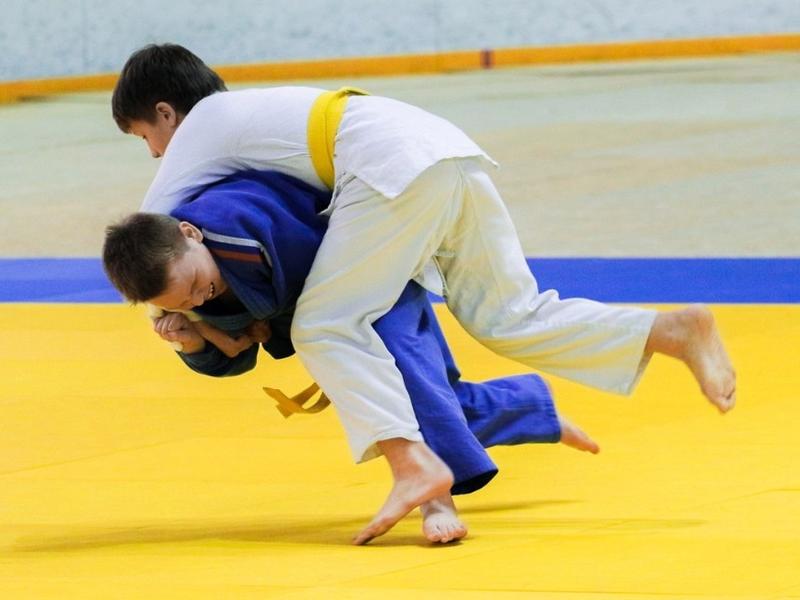 Межрегиональные соревнования по дзюдо пройдут в Чите