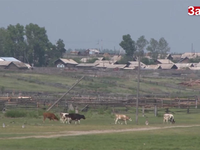 Погода село танга улетовский